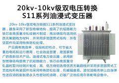   <b>20kv-10kv级双电压转换S11系</b>